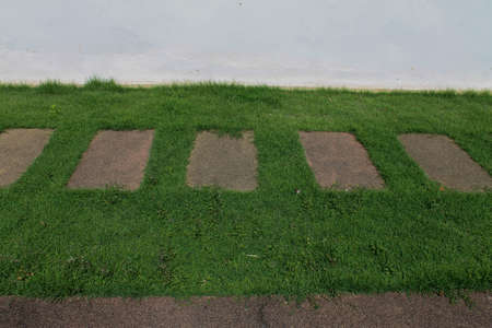 green grass wall  stone garden pathwayの写真素材