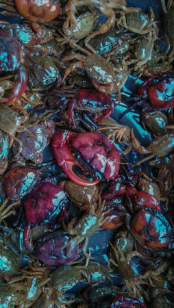 crabs for sale in market closeup photoの写真素材