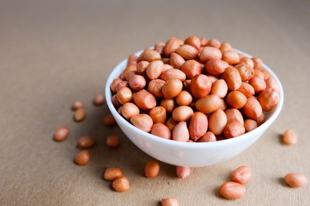 Peanut in white bowlの素材