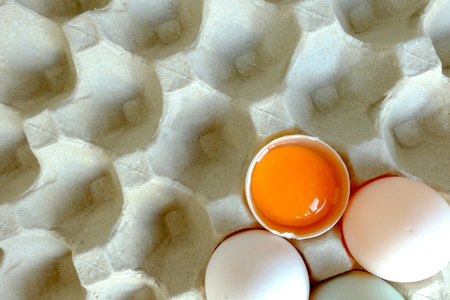 Yolk and duck egg put on paper trayの写真素材