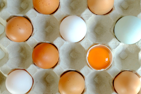 Yolk and chichen egg and duck egg put on paper trayの写真素材