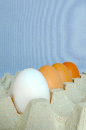 Mix of chicken egg and duck egg put on paper tray, Chicken egg and duck egg line upの写真素材