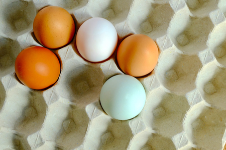 Mix of chicken egg and duck egg put on paper trayの写真素材