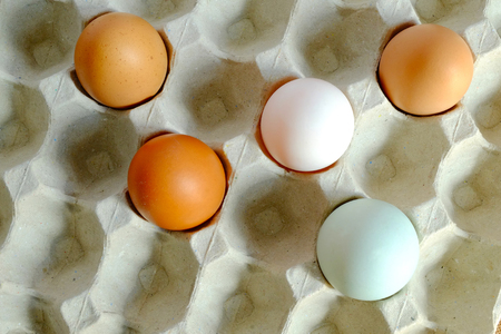 Mix of chicken egg and duck egg put on paper trayの写真素材