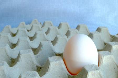 Single duck egg put on paper trayの写真素材