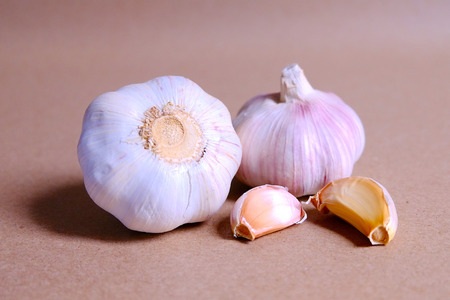 Garlic clove and blub on brown backgroundの写真素材