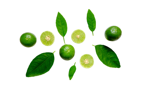 Lime and leave set on white backgroundの写真素材