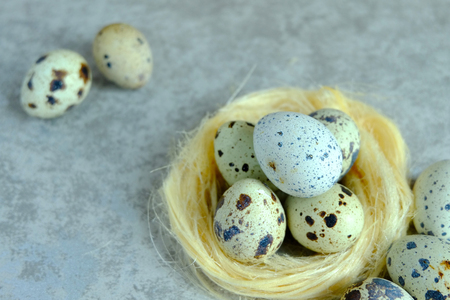 group of quail egg on cement background, quail egg on concreat backgroundの写真素材