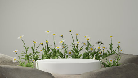 3D rendering podium for packaging ads in natural themeの写真素材