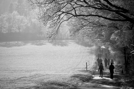 People walking in the cold winter on a road between a field and a forest. Strong morning lights and white ice contrasting the shadow under the trees. One can feel the cold.の写真素材