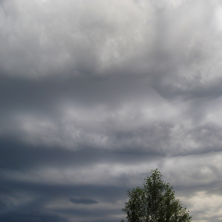 Cloud waves over a treeの写真素材