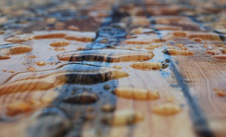 Large water drops on a wooden tableの写真素材