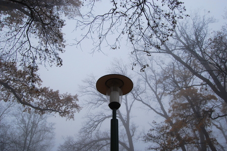 Lamp standing in a misty parkの写真素材