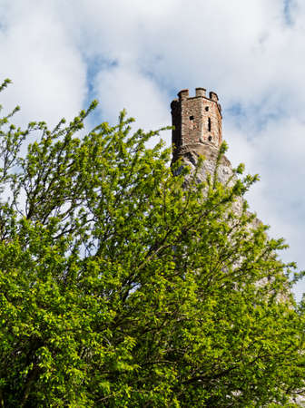 Ruins of the castle Devin located near Bratislava, Slovakia. View from below through the leaves of the surviving tower. Vertical imageの写真素材