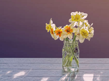 Bouquet of daffodils in a glass bottle on a dark background