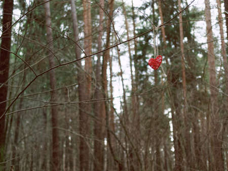 A braided heart is hung with a rope to a branch of a tree without leaves. In the background a fall or winter forest.の写真素材