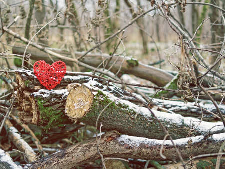 A solitary wicker heart is found on snow-covered old logs with moss. In the background there is an autumn or winter gloomy forestの写真素材