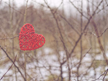 A wicker heart is hung on a tree branch. Behind is an autumn or winter forest with dried yellow grass and snow cover.のeditorial素材