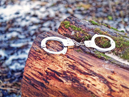 Steel handcuffs are on a log covered with snow and moss. Image of the captured criminalの写真素材
