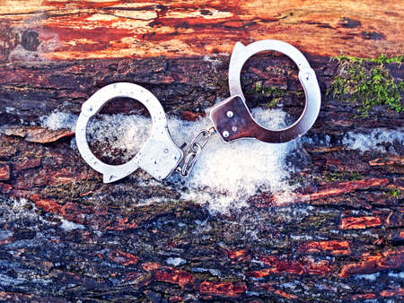 Steel handcuffs are on a log covered with snow and moss. Image of the captured criminalの写真素材