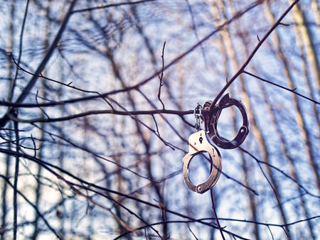 Steel handcuffs hang on a branch. Background of autumn or winter forest. Sunny weather.の写真素材