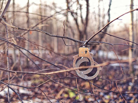 Steel handcuffs hang on a tree branch without leaves. Background of autumn or winter forest.の写真素材