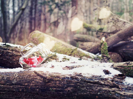 A glass jar with a handle and small hearts made of cloth inside is on a log in the autumn or winter forest. From the vessel fly luminous symbols of love. Fantasy backgroundの写真素材