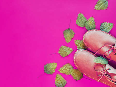 A pair of new brown leather men's shoes are on a pink background. There are green leaves. Trend background for a shoe store, fashion blog, travel agencyの写真素材