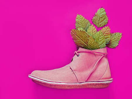 A male boot with leather laces is on an purple background. Green leaves stick out of the shoe. Creative background for advertising a shoe store, for a fashion blog or travel agencyの写真素材