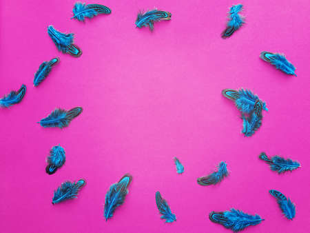 Painted blue pheasant feathers are located in a circle on a purple backgroundの写真素材