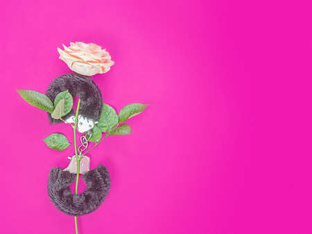 Fur handcuffs are worn on the stem of a rose. Allegory of imaginary freedom, an image for advertising a sex shop or an original wedding cardの写真素材