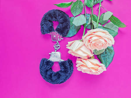Fur handcuffs (a sex toy for adults) and a bouquet of three light roses are on a purple background. Image for advertising sex shop, shopping for adult goodsの写真素材