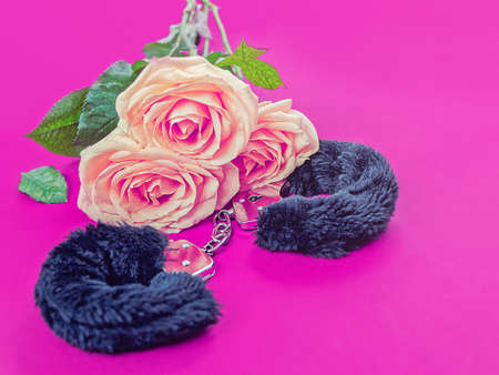 Fur handcuffs and a bouquet of delicate roses are on a purple background. Image for a sex shop bannerの写真素材