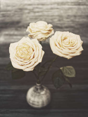 Three white roses are in a ceramic vase on a dark wooden background. Picture in gloomy tonesの写真素材