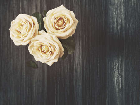 Three white roses are on a dark wooden background. View from above. There is blank space for text. Image in gloomy tonesの写真素材