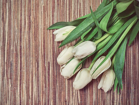 A bunch of fresh white tulips is on the table with a wooden tablecloth. Spring background for greeting card or wishesの写真素材