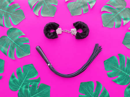 A smile made from sex toys (furry handcuffs and leather whip) is found along with the leaves of...