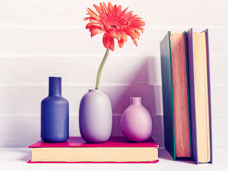 Three different vases, a gerbera flower and books are on a white wooden background. The concept of the importance of reading and knowledgeの写真素材