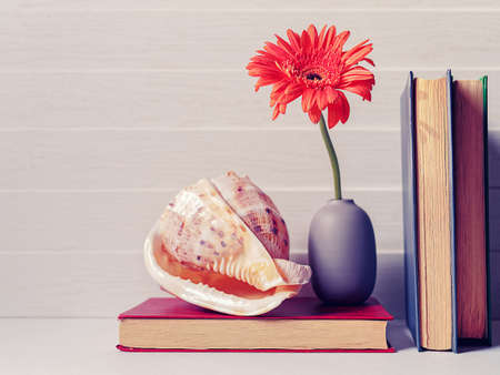 The gerbera flower is in a gray vase. The distance is a large seashell. The items are on the old...