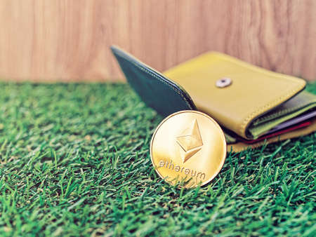 A coin of crypto currency Ethereum and a leather purse are on the green grass. Wooden background. Image on the topic of earnings on the Internet and in the real worldの写真素材