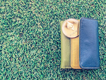 Multicolored leather purse and coin crypto-currency Ethereum are on the green grass. Image about income, earnings in the digital and real world, investments in virtual currencies and wealthの写真素材