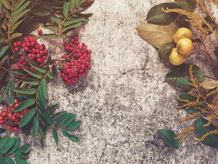 Autumn composition. Rowan branches, branches of apple trees with fruits, as well as other herbs and plants are on a cement background with scuffs and cracks. Flat lay.の写真素材