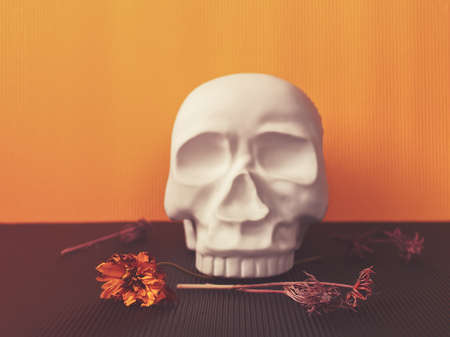 A decorative figure in the form of a human skull is on a yellow cardboard background. Nearby are the dried flowers.の写真素材