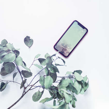 A smartphone with an abstract image on the screen is on a white background. Nearby is a branch of eucalyptus. Flat lay. Top view.の写真素材