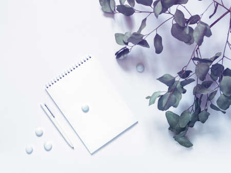 The concept of business planning, study, diary, freelance. An open notebook with blank pages is on a...