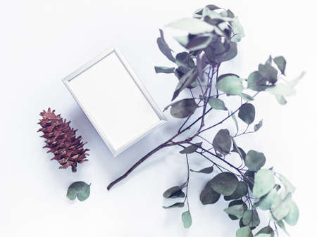 A metal photo frame is on a white background. Nearby is a branch of eucalyptus and big cone. Flat lay. Copy space.の写真素材