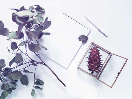 The concept of business planning, study, diary, freelance. An open notebook with blank pages is on a white background. Nearby are a branch of eucalyptus, a pen, a cone in a glass box. Flat lay.の写真素材