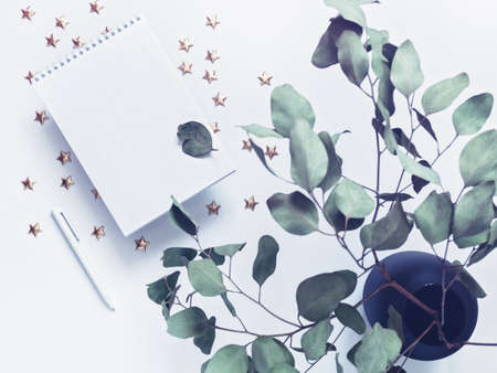 The concept of business planning, study, diary, freelance. An open notebook with blank pages is on a white background. Nearby is a branch of eucalyptus and decorative stars. Flat lay.の写真素材