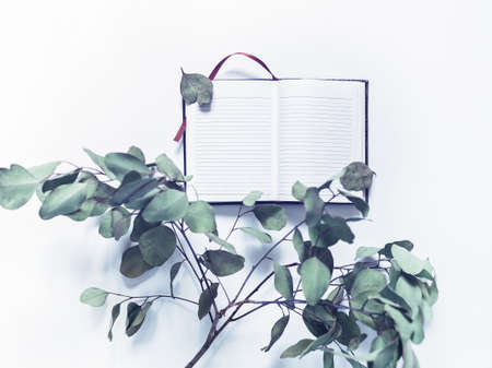 The concept of business planning, study, diary. An open notebook with lined pages is on a white background. Nearby is a branch of eucalyptus with slightly dried leaves. Flat lay, top view.の写真素材