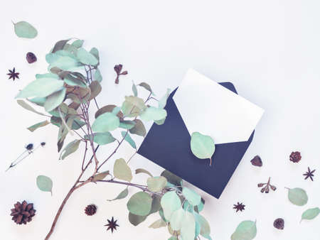 A black envelope with a blank sheet of paper is on a white background. Nearby is a branch of eucalyptus with slightly dried leaves and various decorative elements. Flat lay. Copy space.の写真素材